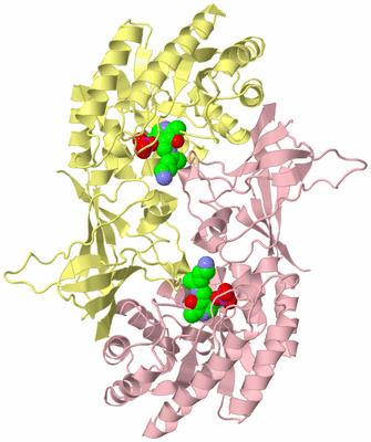 Image Biological Unit 2