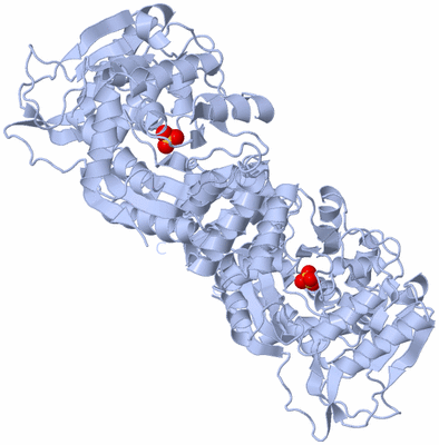 Image Biological Unit 1