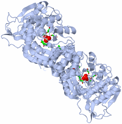 Image Biol. Unit 1 - sites