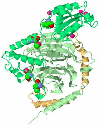 Image Asym./Biol. Unit