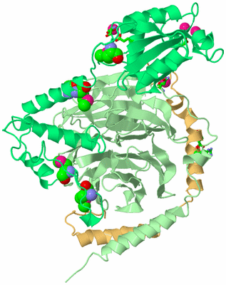 Image Asym./Biol. Unit - sites