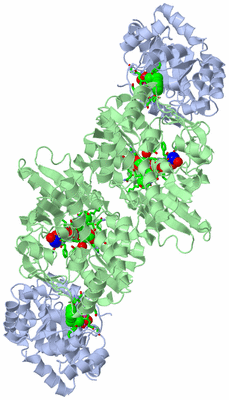 Image Biol. Unit 1 - sites