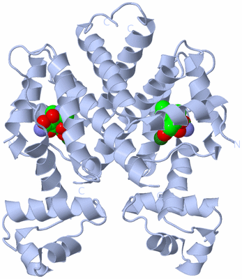 Image Biological Unit 1