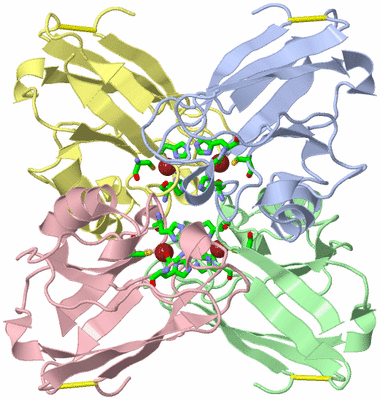 Image Asym./Biol. Unit - sites