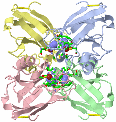 Image Asym./Biol. Unit - sites