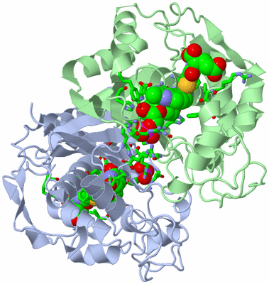 Image Biol. Unit 1 - sites