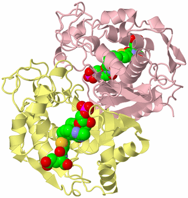 Image Biological Unit 2