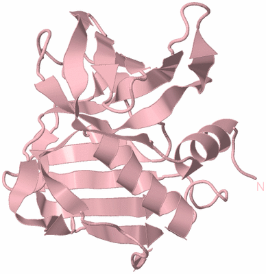Image Biological Unit 3