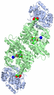 Image Biological Unit 1