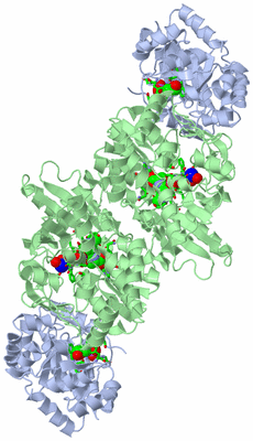 Image Biol. Unit 1 - sites