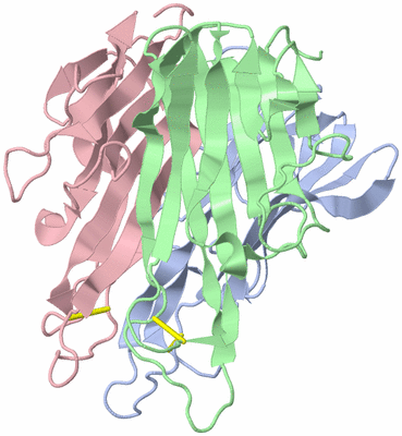 Image Biological Unit 3