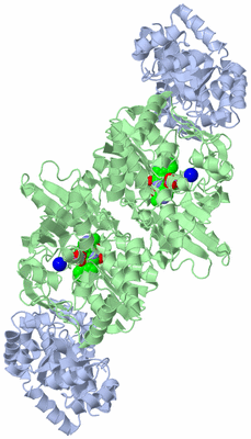 Image Biological Unit 1