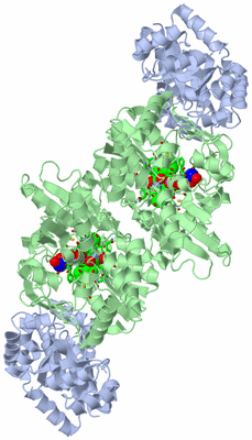 Image Biol. Unit 1 - sites