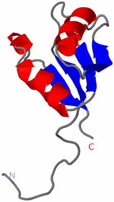 Image NMR Structure - model 1