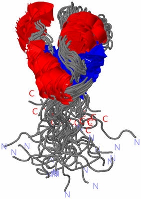 Image NMR Structure - all models