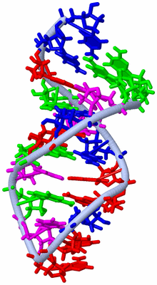 Image NMR Structure - model 1