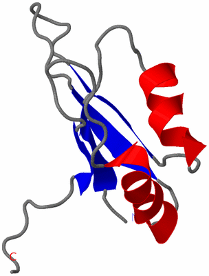 Image NMR Structure - model 1