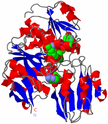 Image Asym./Biol. Unit