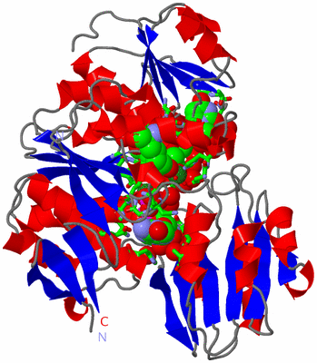 Image Asym./Biol. Unit - sites