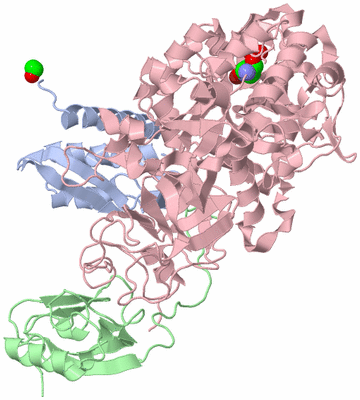 Image Biological Unit 1