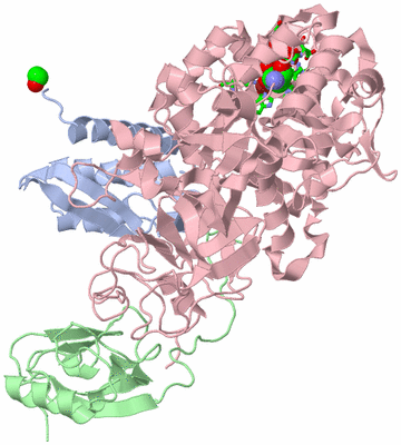 Image Biol. Unit 1 - sites