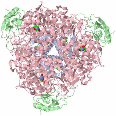 Image Biological Unit 2