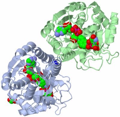 Image Asym./Biol. Unit