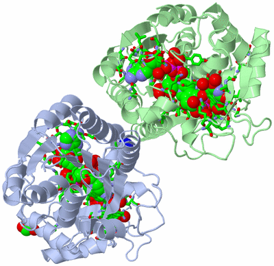 Image Asym./Biol. Unit - sites