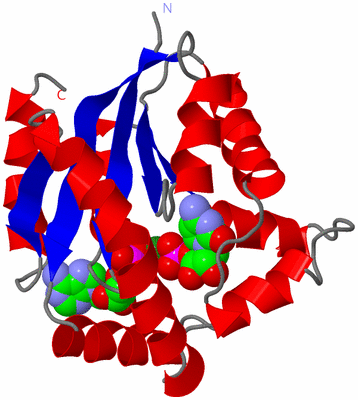 Image Asym./Biol. Unit