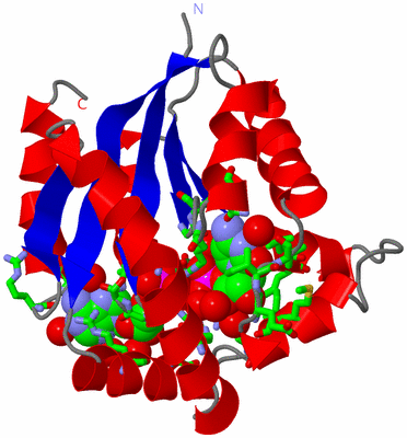 Image Asym./Biol. Unit - sites