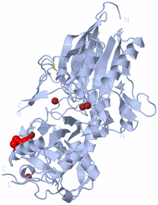 Image Biological Unit 1