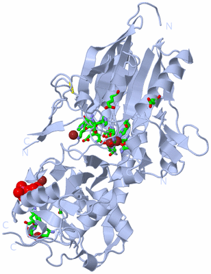 Image Biol. Unit 1 - sites