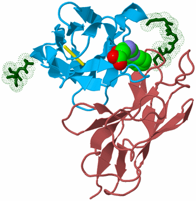 Image Biological Unit 2