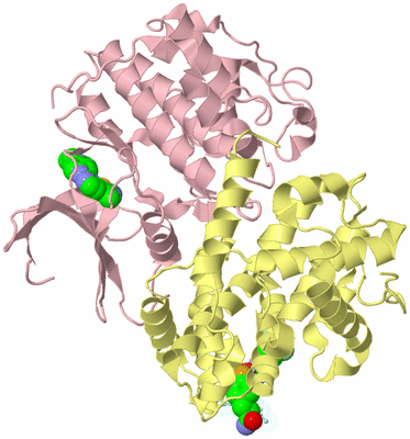 Image Biological Unit 2