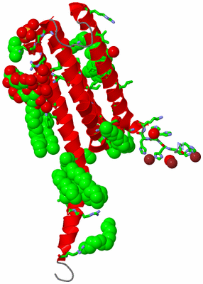 Image Asym. Unit - sites