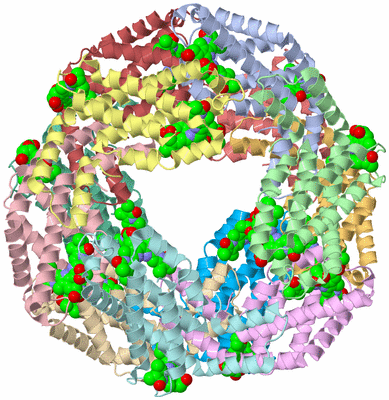 Image Biological Unit 1