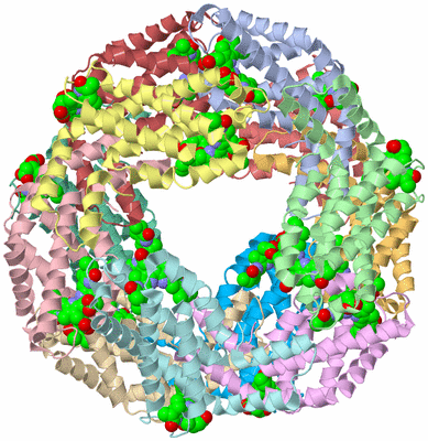 Image Biological Unit 1