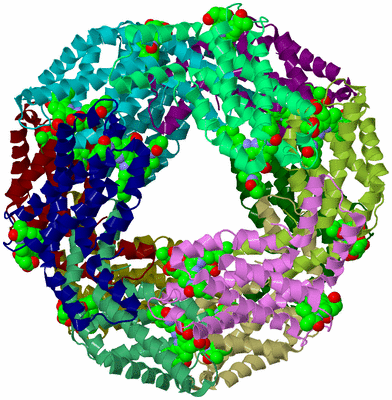 Image Biological Unit 2