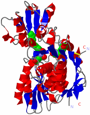 Image Asym./Biol. Unit