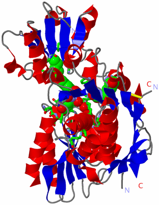 Image Asym./Biol. Unit - sites