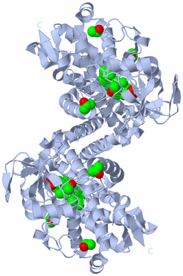 Image Biological Unit 1