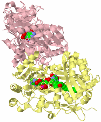 Image Biological Unit 2