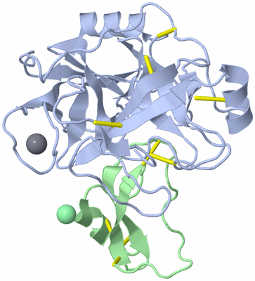 Image Asym./Biol. Unit