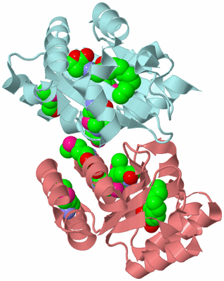 Image Biological Unit 2