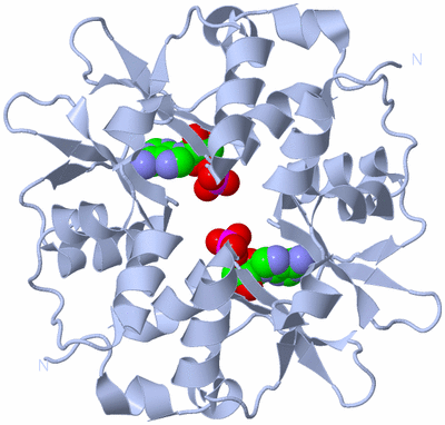 Image Biological Unit 1