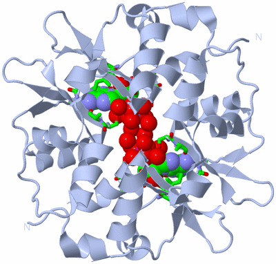 Image Biol. Unit 1 - sites