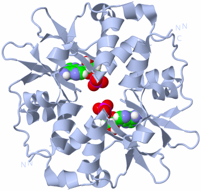 Image Biological Unit 1