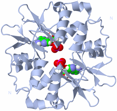 Image Biological Unit 1