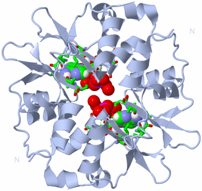 Image Biol. Unit 1 - sites