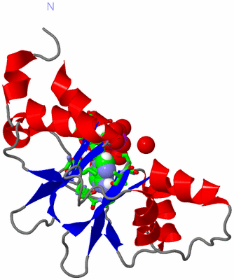 Image Asym. Unit - sites